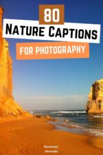 80 Best Captions for Nature Photography and Quotes | Routinely Nomadic