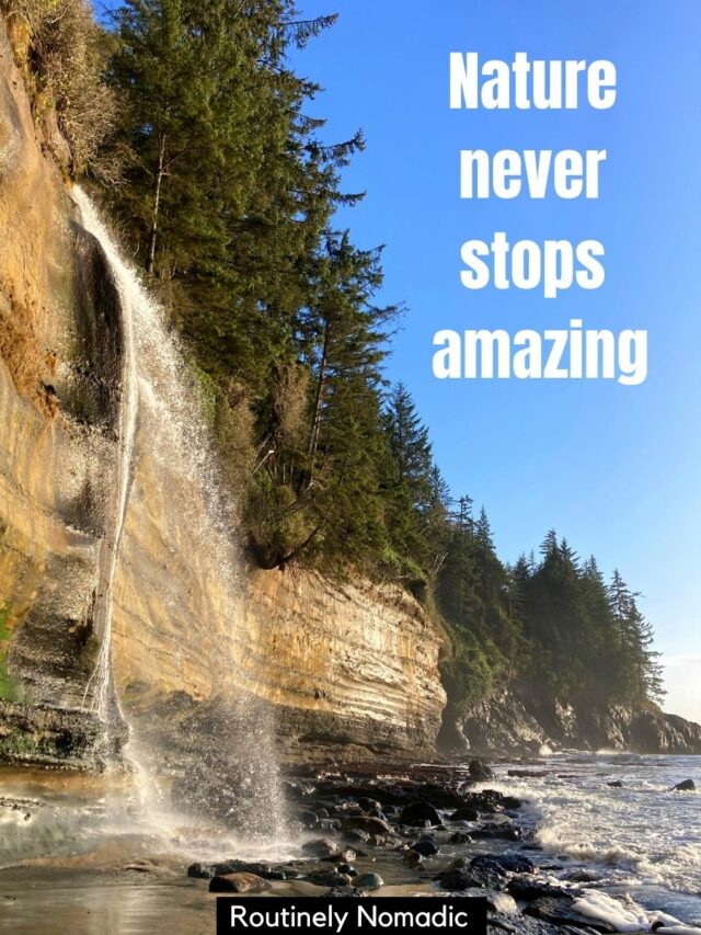 80 Best Captions for Nature Photography and Quotes | Routinely Nomadic