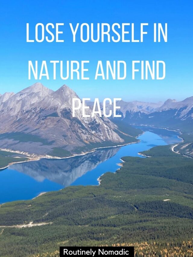 80 Best Captions for Nature Photography and Quotes | Routinely Nomadic