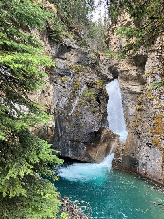 Waterfall with rock canyon walls and a tree in the forefront on the Johnston Canyon hike