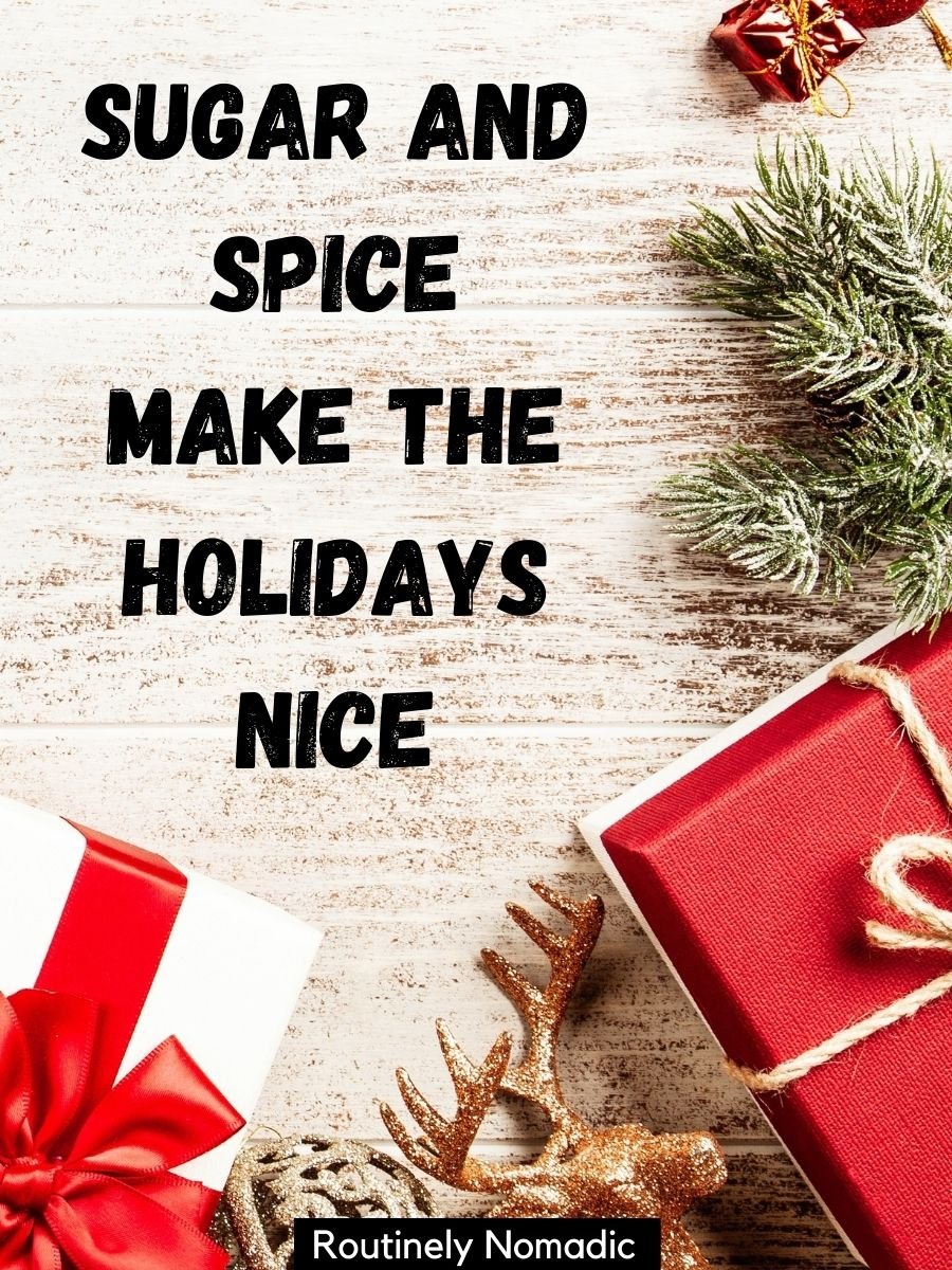 Perfect Christmas Captions for a Merry Holiday Season Routinely Nomadic