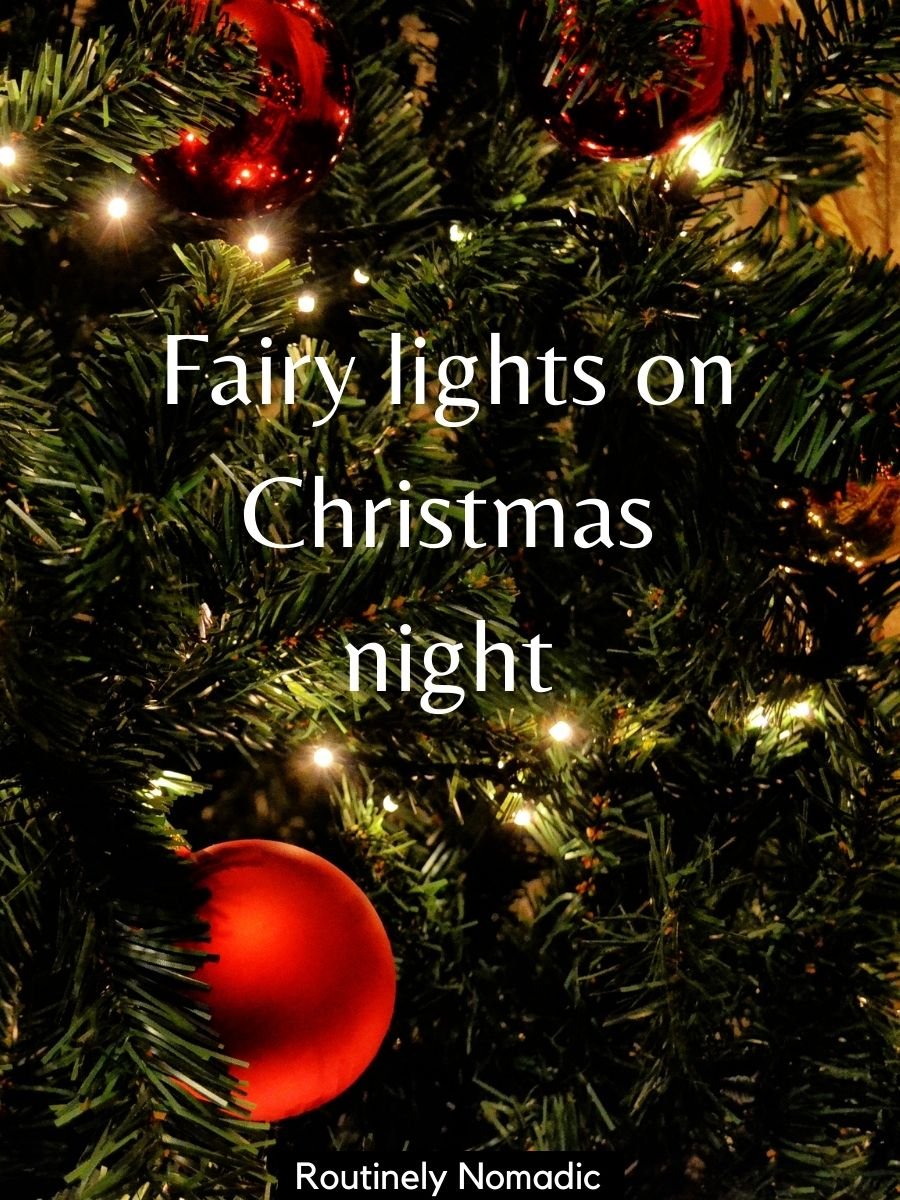 Funny Christmas Captions for 2023 Routinely Nomadic