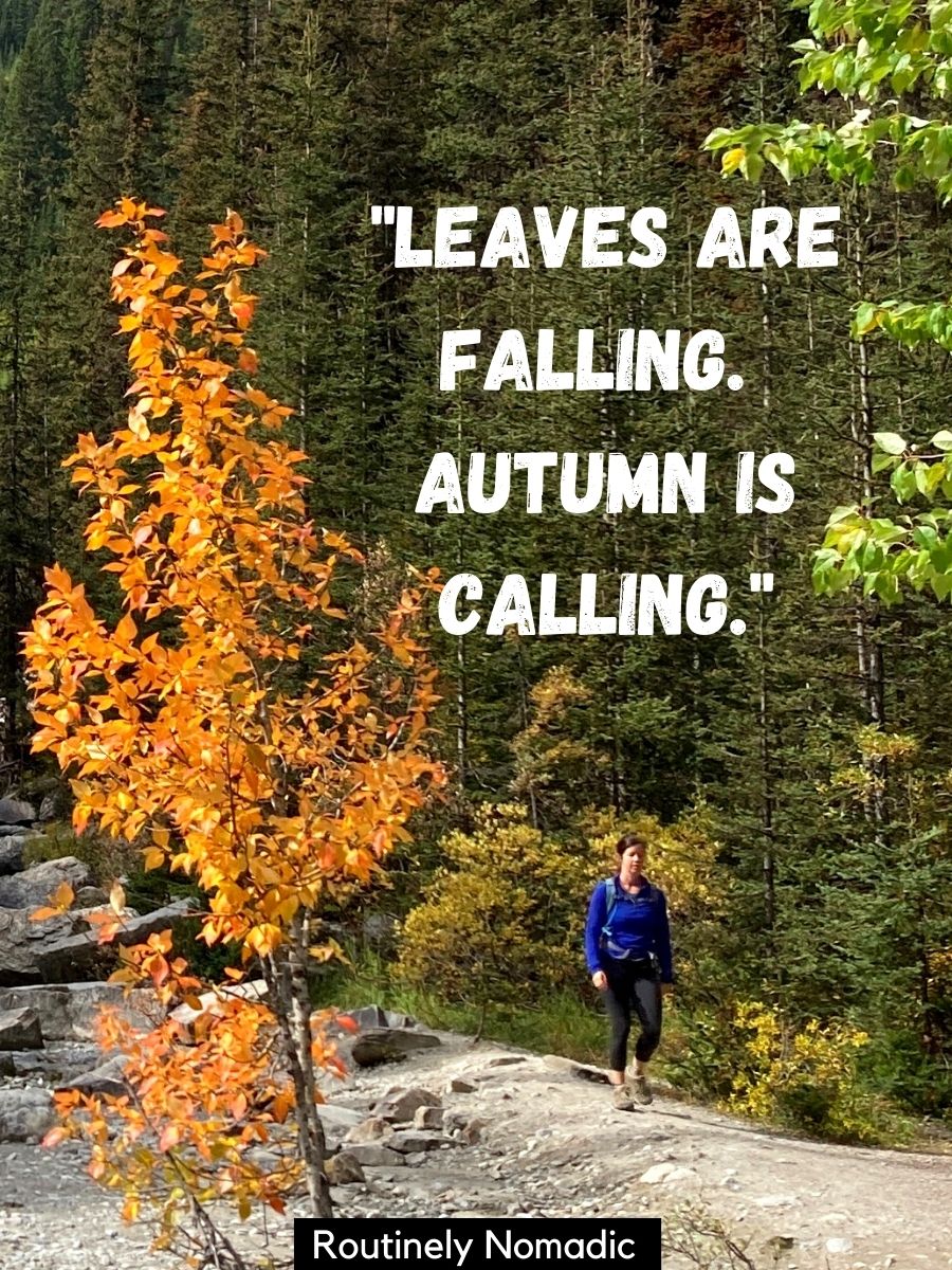 The 300 Cute, Funny and Short Fall Sayings to Welcome Autumn ...
