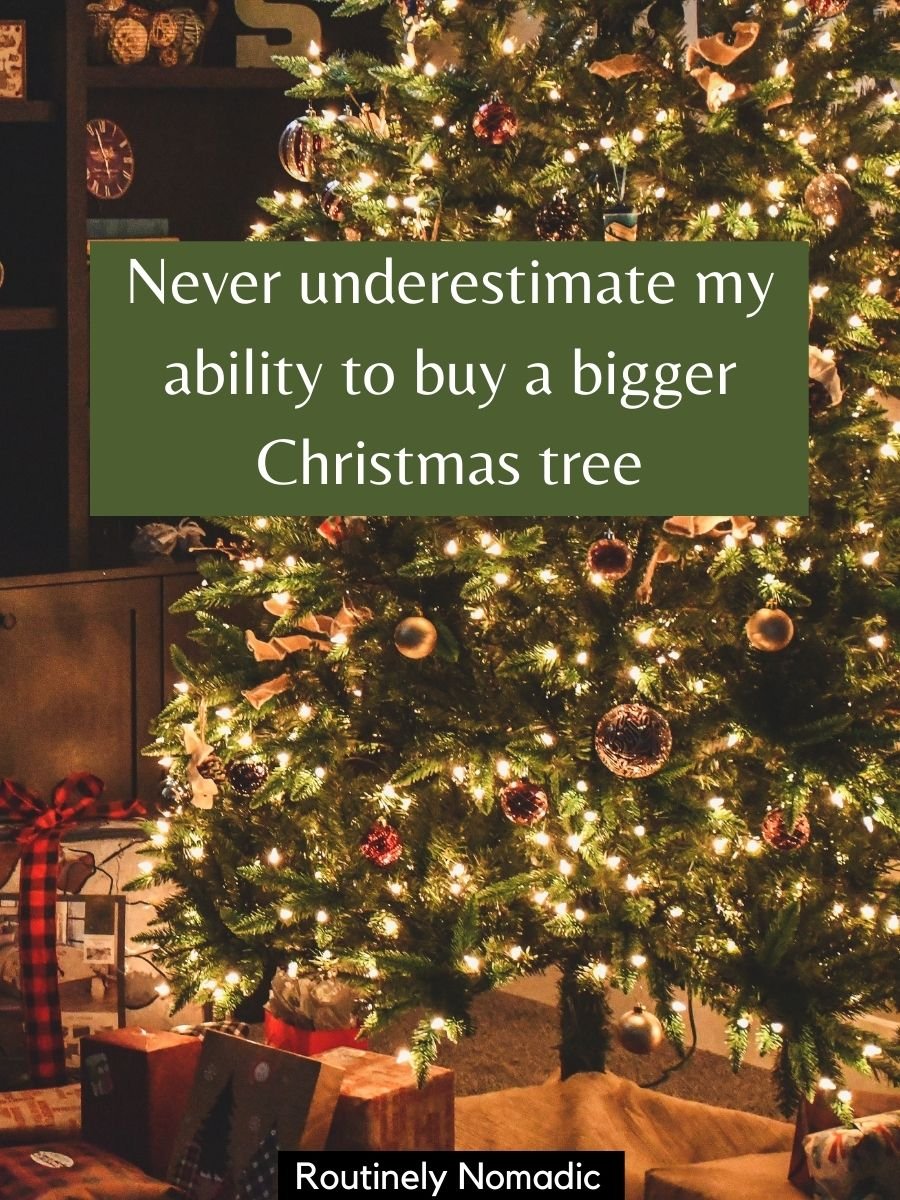 100 Festive Christmas Tree Captions Routinely Nomadic