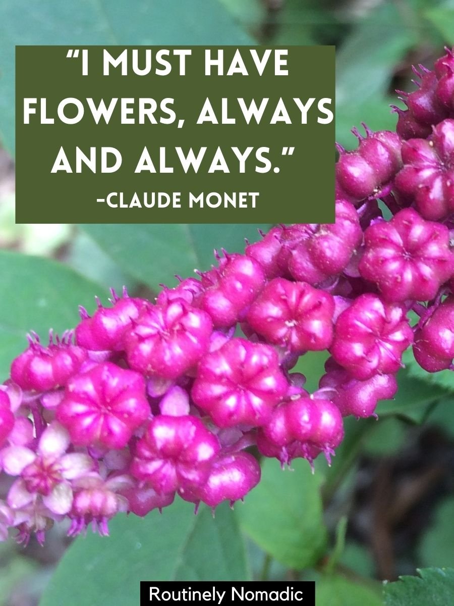 Short Flower Quotes 110 Amazing Flower Sayings Routinely Nomadic