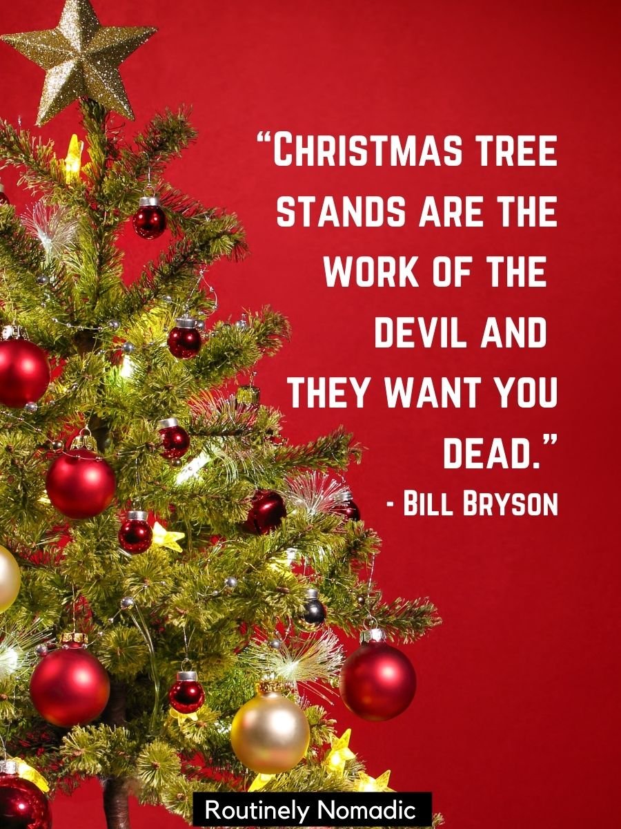 Funny Christmas Tree Quotes 