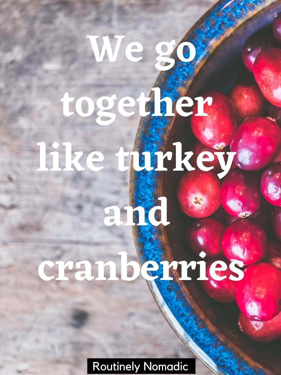 150 Funny Thanksgiving Captions for 2023 Routinely Nomadic