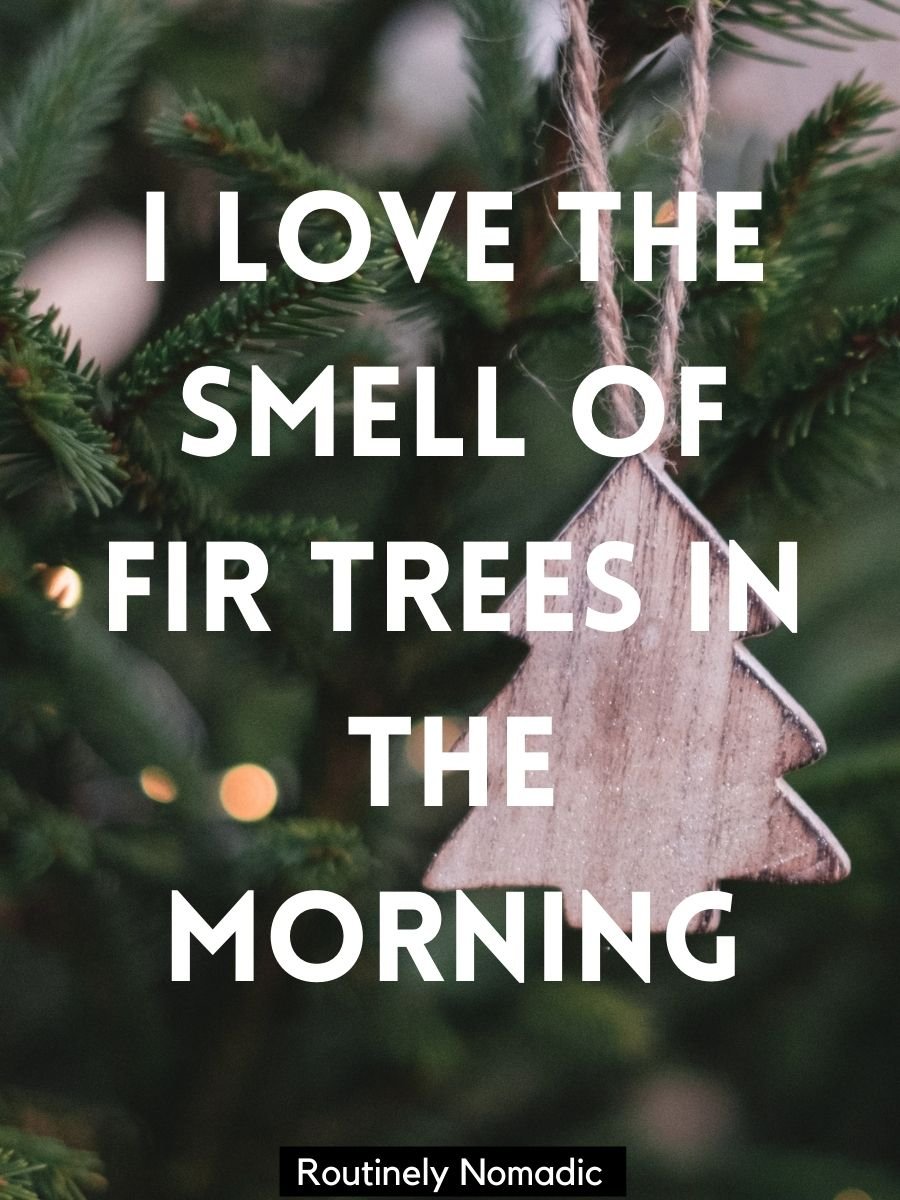 100 Festive Christmas Tree Captions Routinely Nomadic