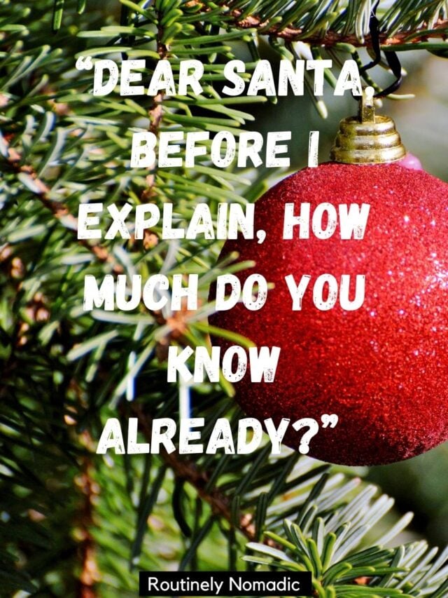 Short Christmas Quotes: 150 Amazing Short Christmas Sayings  Routinely Nomadic