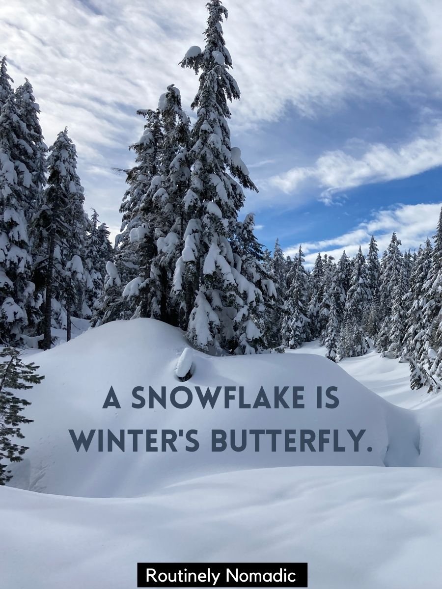 Snowflake Quotes 110 Best Snowflake Sayings Routinely Nomadic