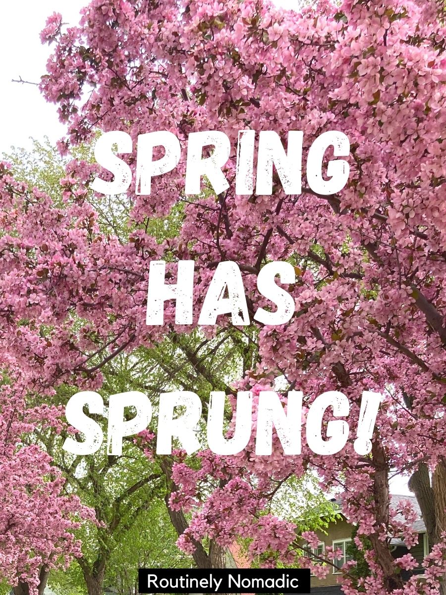 200 Short Spring Letter Board Quotes and Sayings to Welcome a New ...