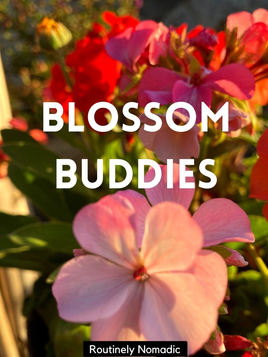 The Very Best 100 Funny Spring Captions Routinely Nomadic