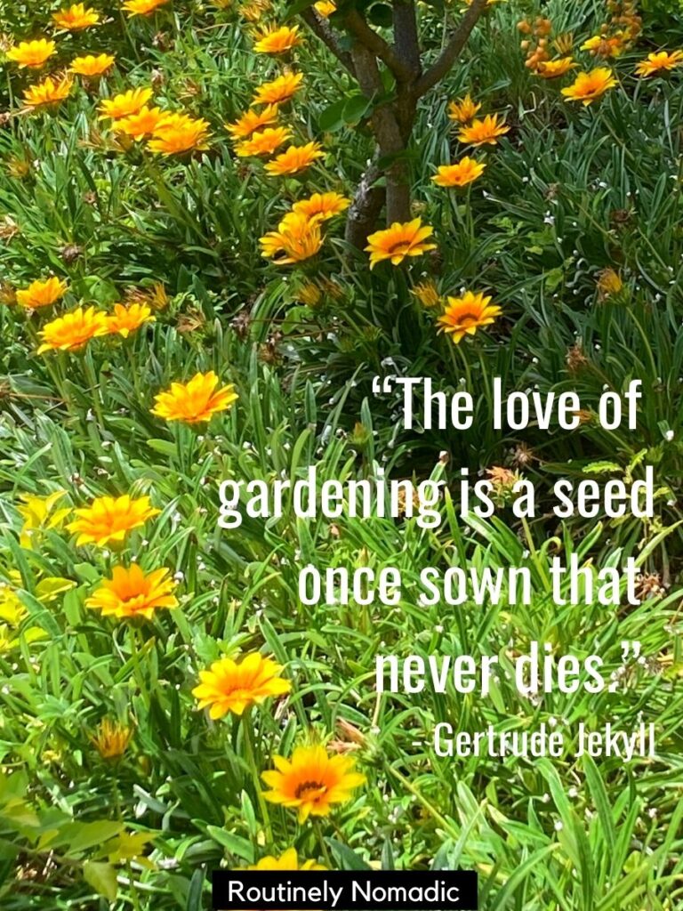 Quotes About Love And Gardens 64 Inspiring Gardening Quotes Garden