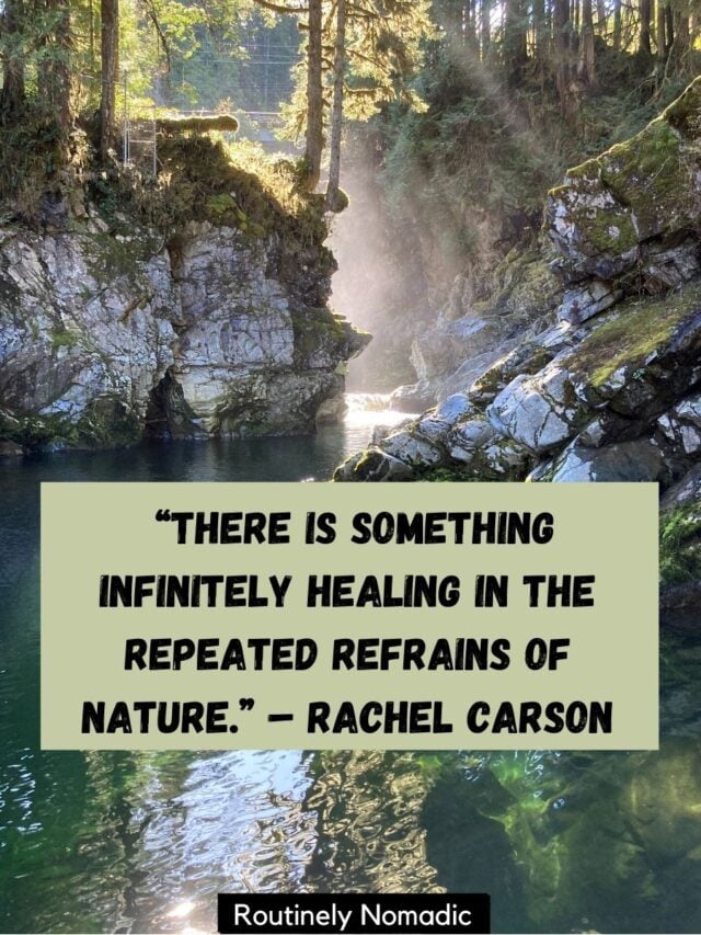 53 Short Nature Quotes Best Inspirational Thoughts on Nature