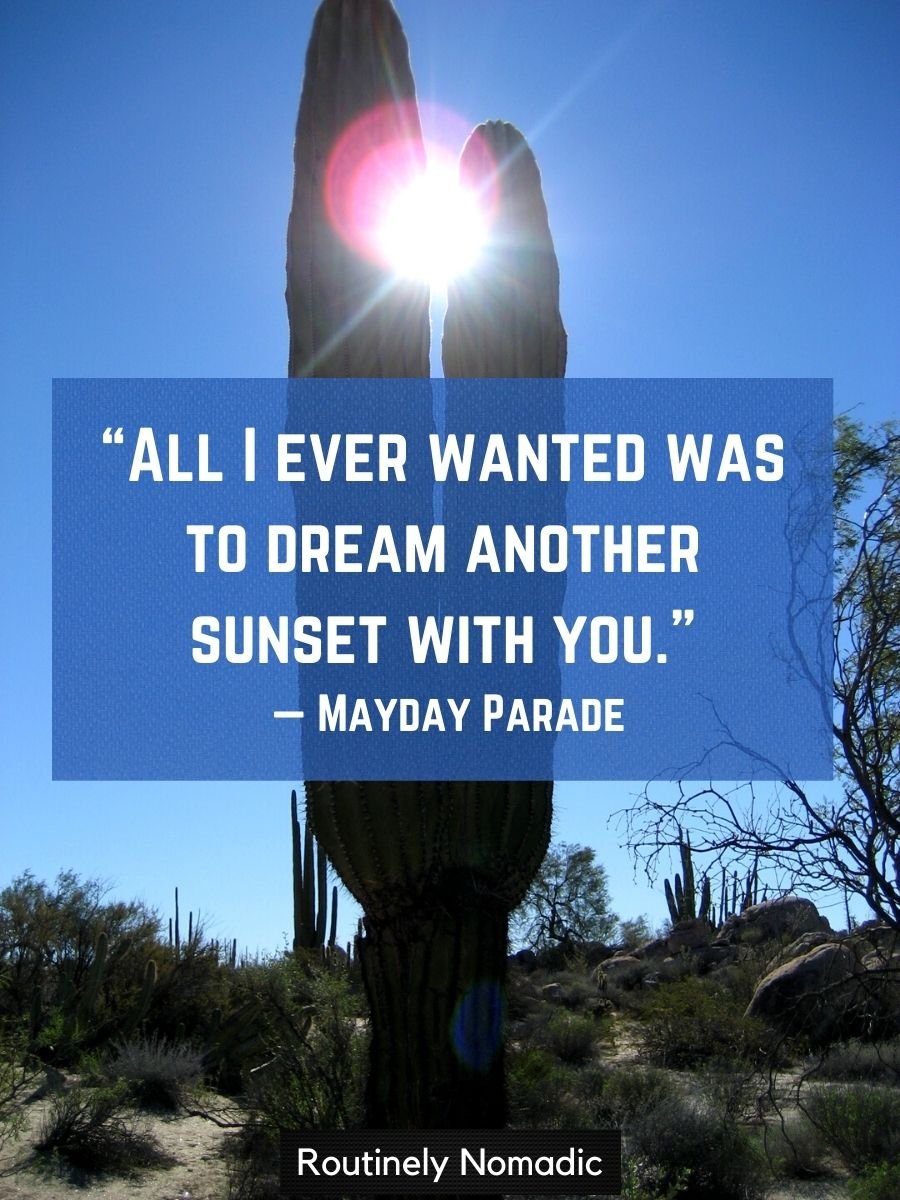 Perfect Desert Quotes 115 Desert Sayings Routinely Nomadic