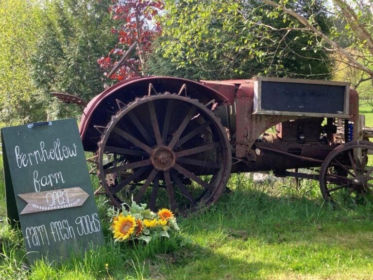 The 16 Best Things to Do