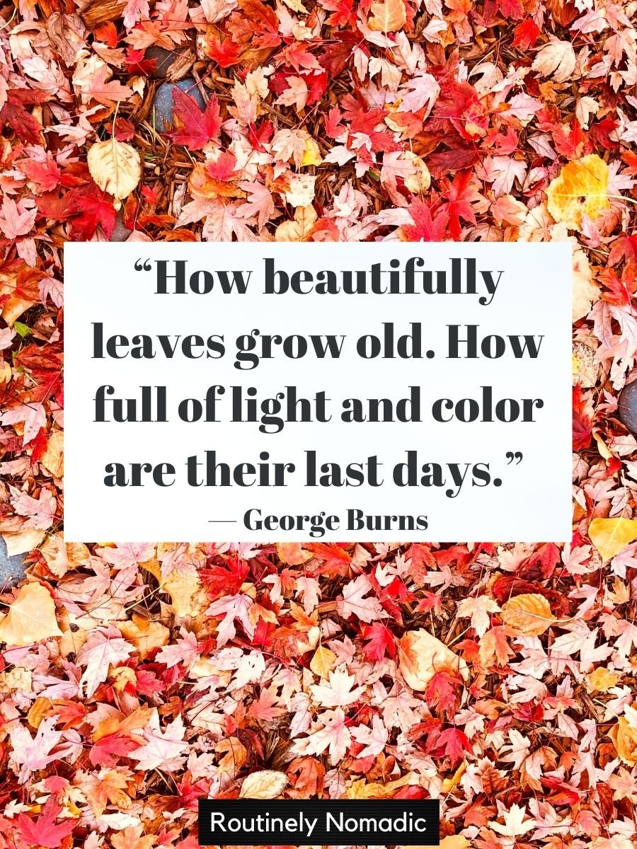 Perfect Falling Leaves Quotes to Bring in Autumn | Routinely Nomadic