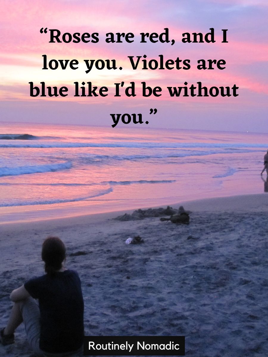 Roses Are Red Violets Are Blue My Heart Is Dead 125 Best Roses are Red Violets are Blue Poems | Routinely Nomadic