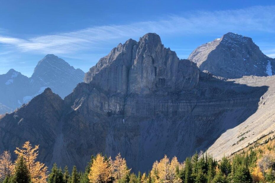 Mountain and fall trees