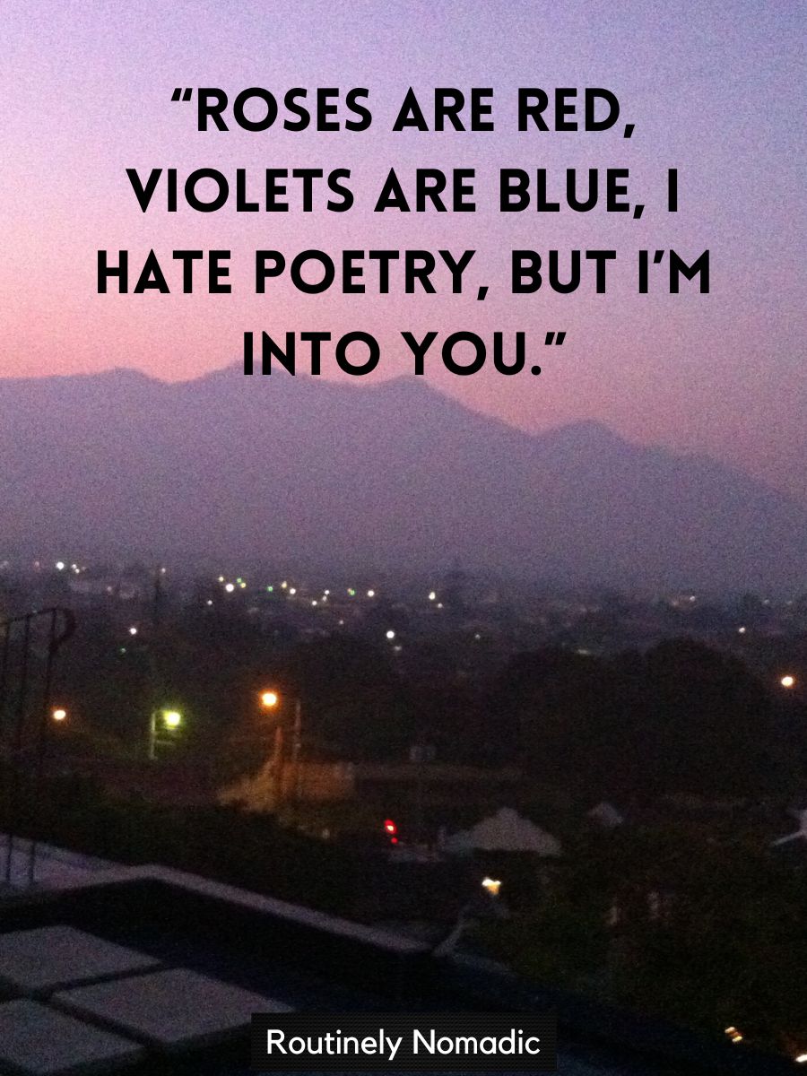 125 Best Roses are Red Violets are Blue Poems Routinely Nomadic