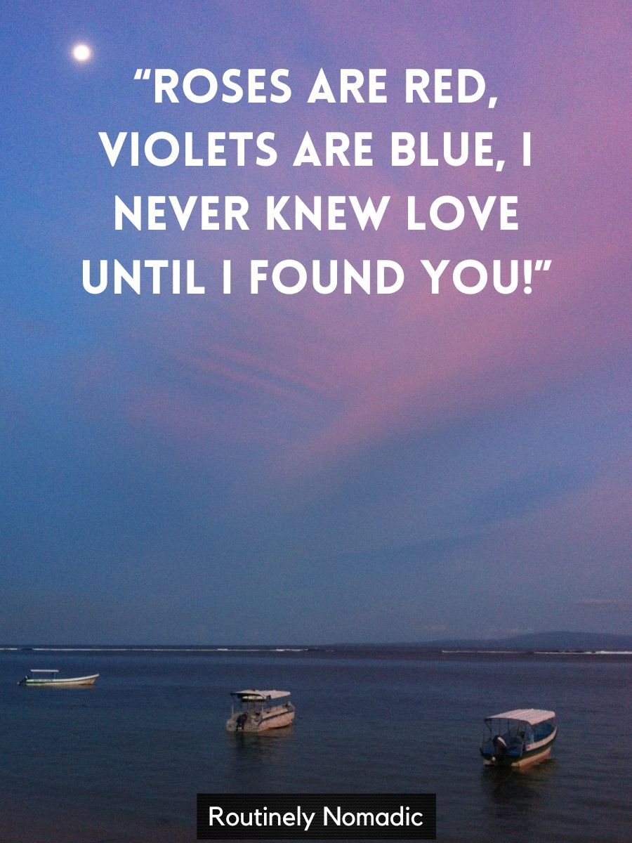 Roses Are Red Violets Are Blue My Heart Is Dead 125 Best Roses are Red Violets are Blue Poems | Routinely Nomadic
