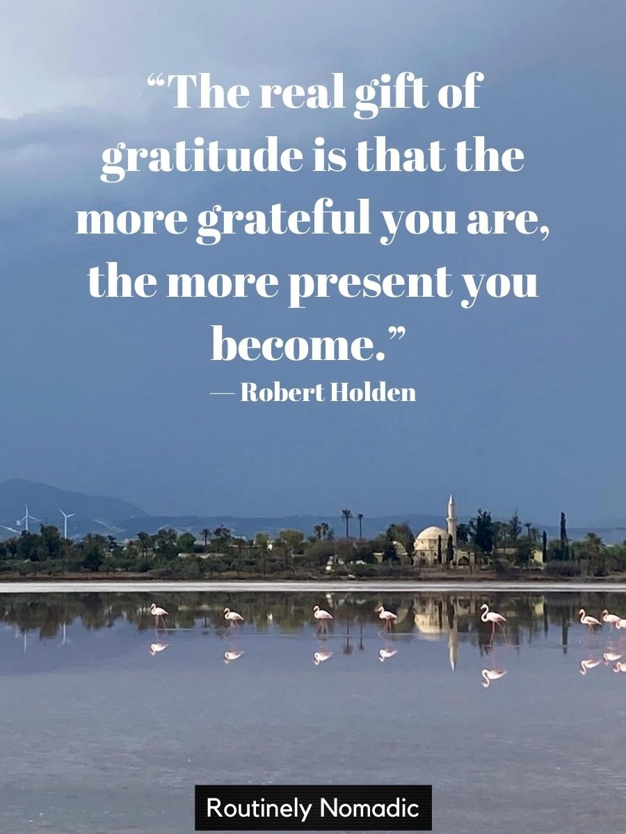 100 Best Grateful Quotes Routinely Nomadic