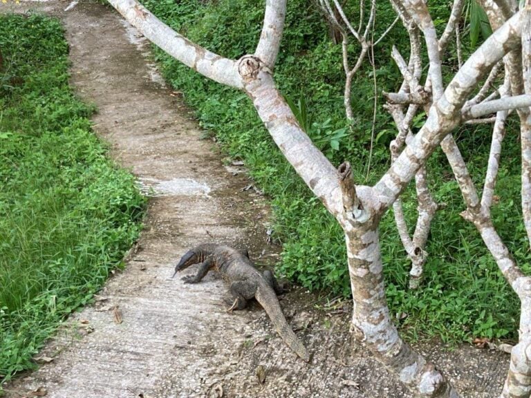 The 8 Best Things to Do on Koh Ngai Routinely Nomadic