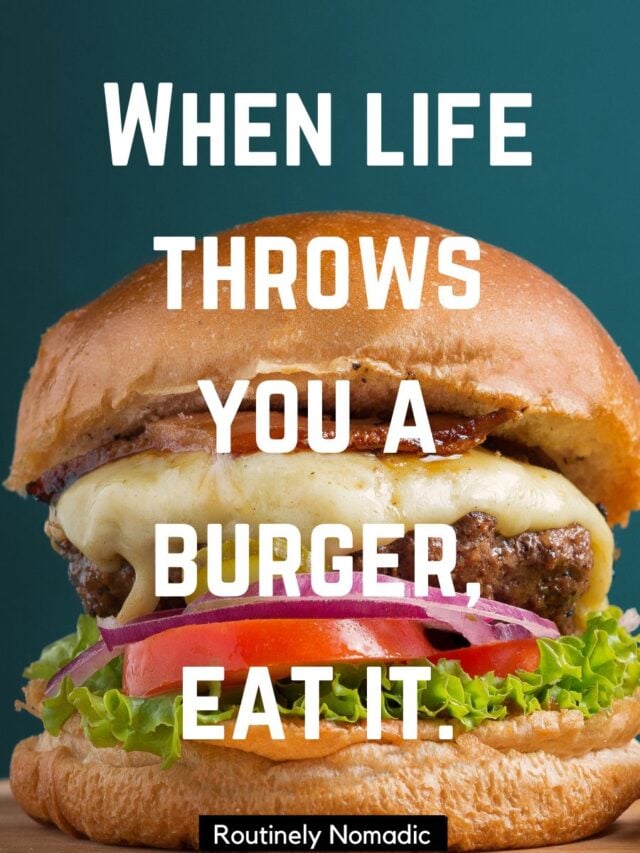 170 Perfect Dinner Captions Routinely Nomadic