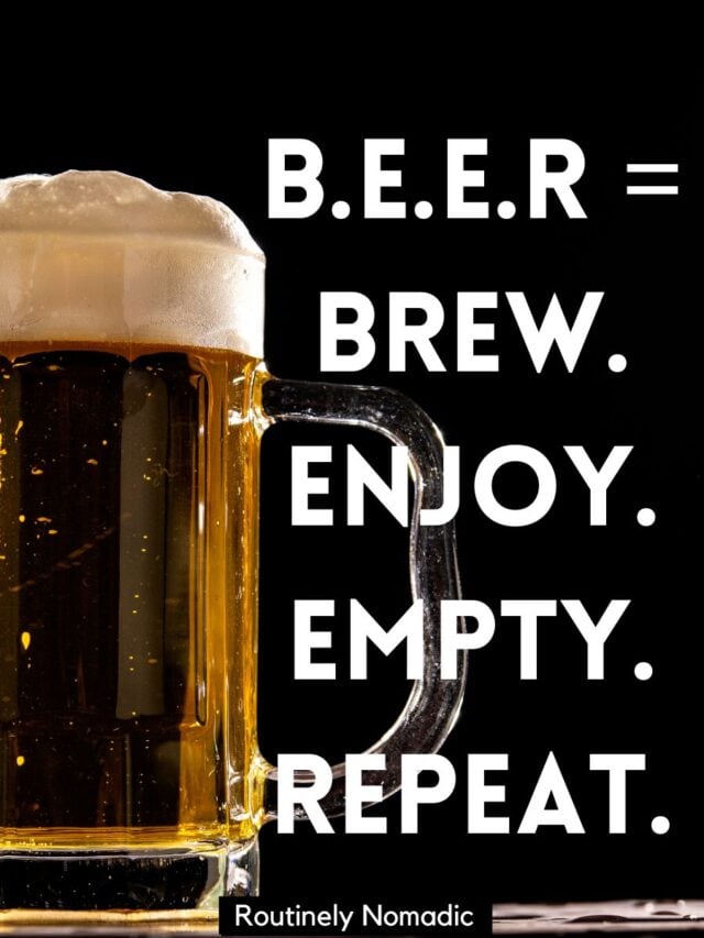 145 Frosty Beer Captions (Including Beer Puns!) Routinely Nomadic