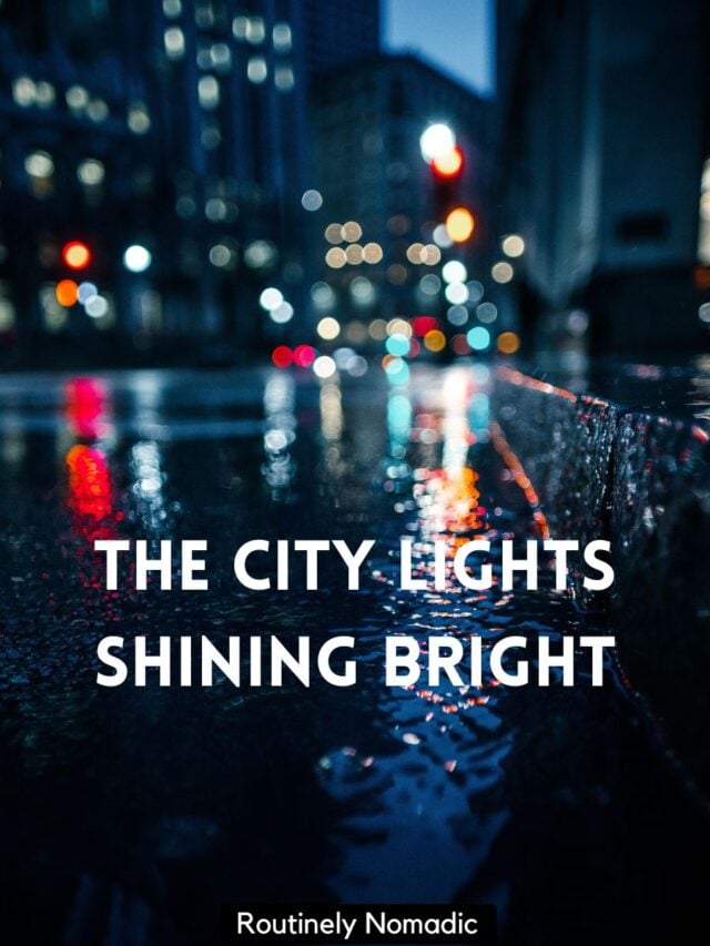 100 Memorable City Lights Captions Routinely Nomadic