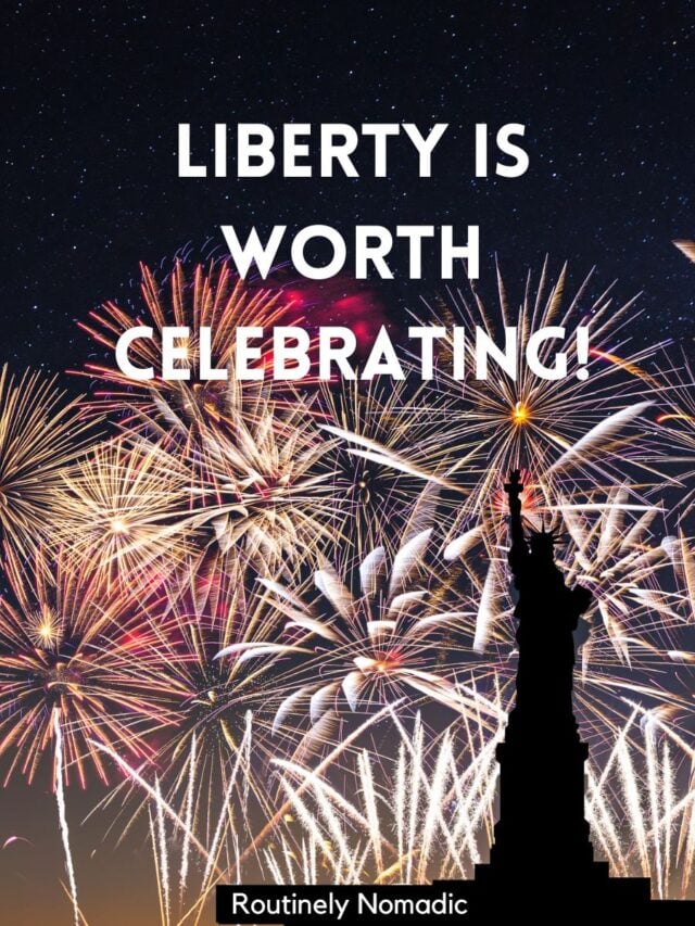 100 Perfect Statue of Liberty Captions Routinely Nomadic