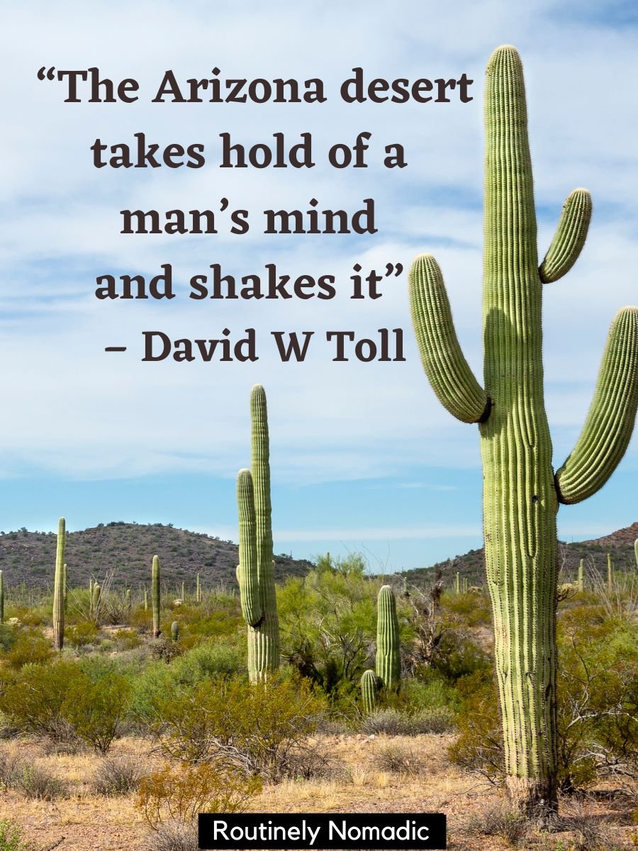 150 Amazing Arizona Captions Routinely Nomadic