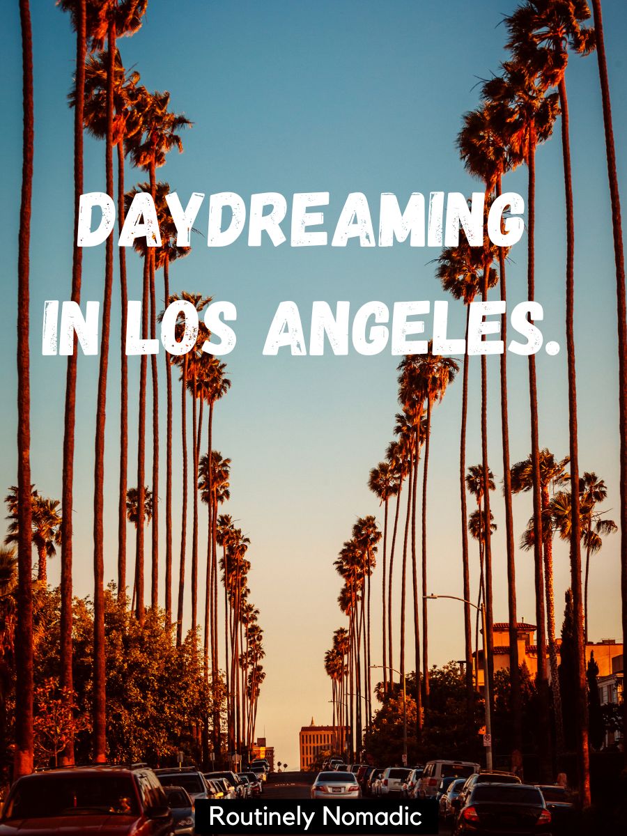 100 Bright Hollywood Captions | Routinely Nomadic