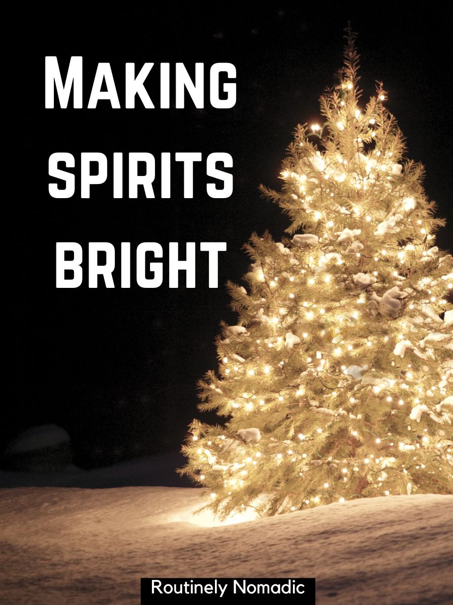 100 Sparkling Christmas Lights Captions Routinely Nomadic