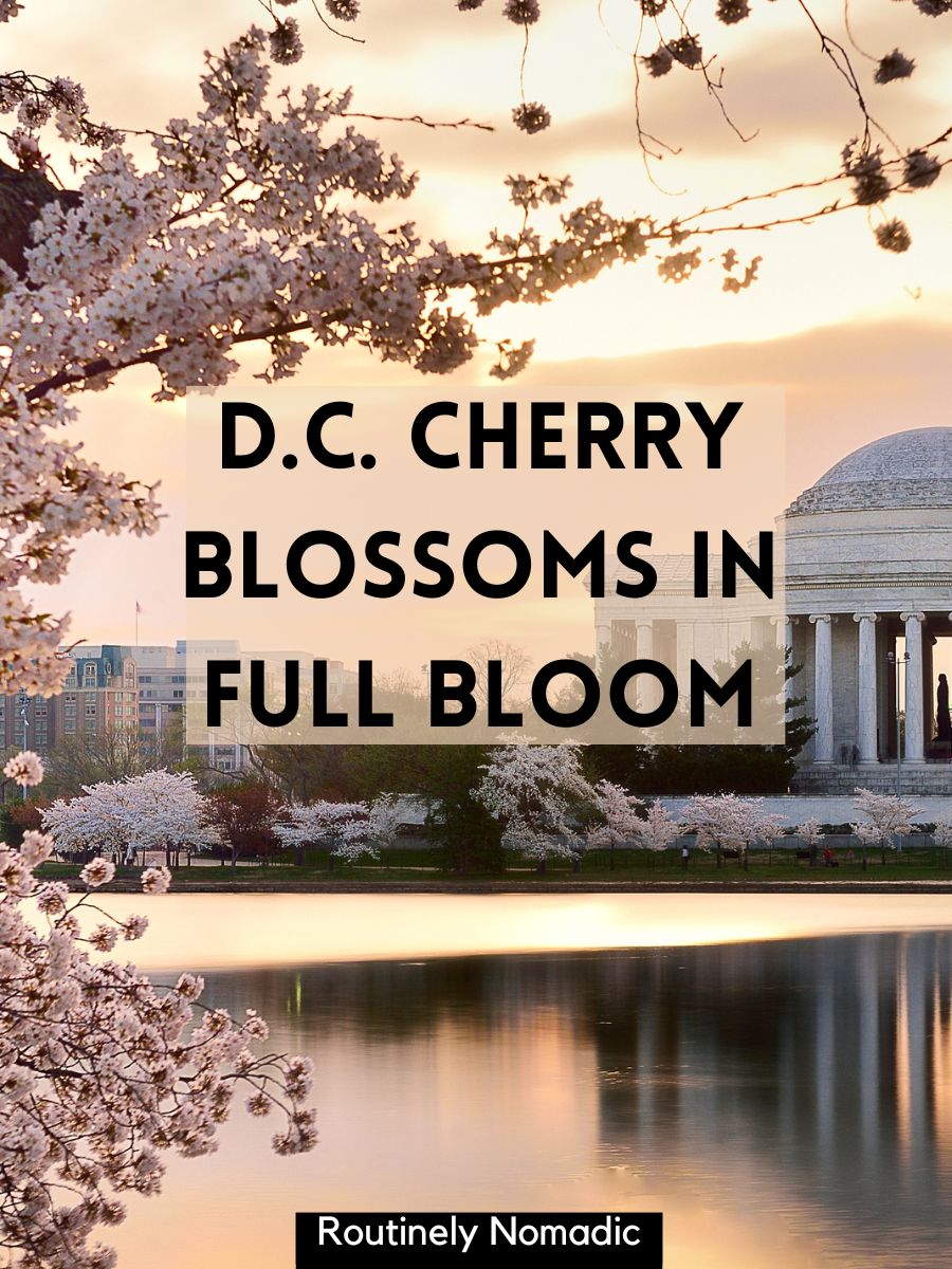 150 Washington D.C. Captions Routinely Nomadic