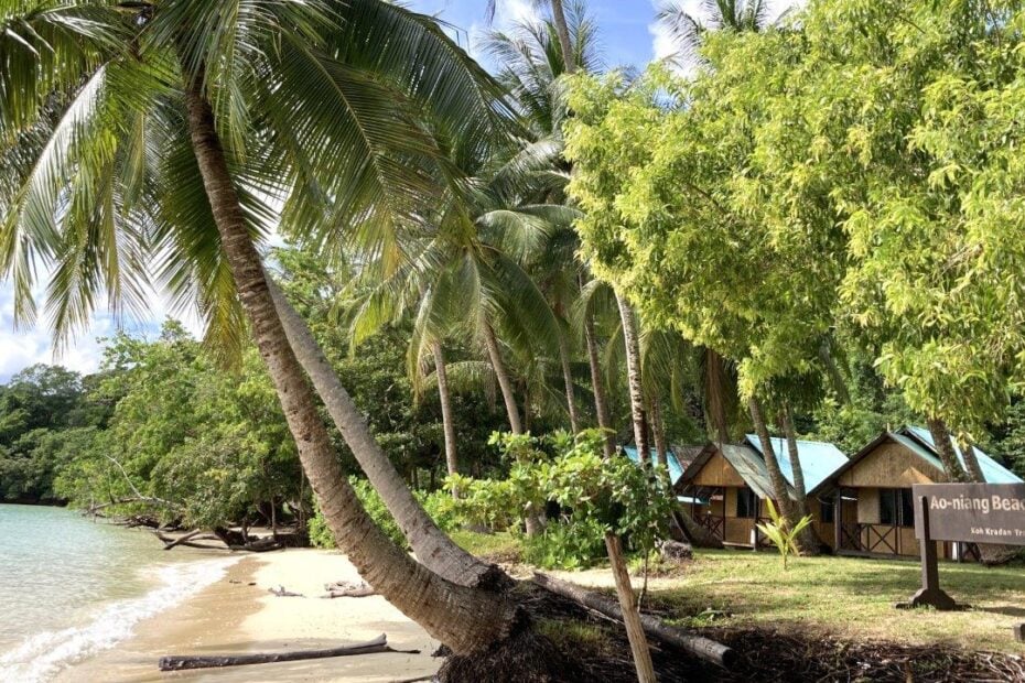 Curving palm tree and small shacks on a small beach