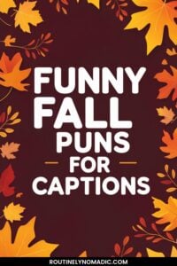 Funny fall puns for captions