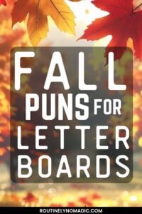 Fall puns for letter boards