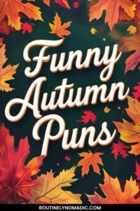 Funny Autumn Puns