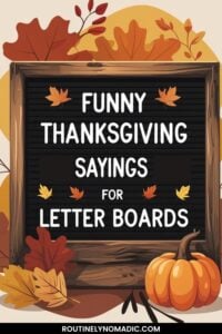 Funny Thanksgiving letter board quotes