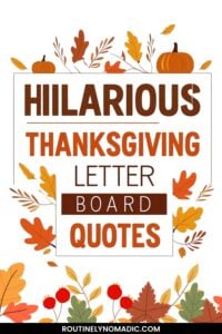 Funny Thanksgiving letter board quotes