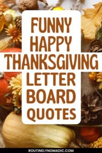 Funny Thanksgiving letter board quotes