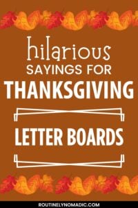 Funny Thanksgiving letter board quotes