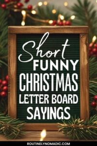 Funny Christmas Letter Board Quotes