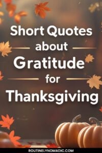 Gratitude quotes