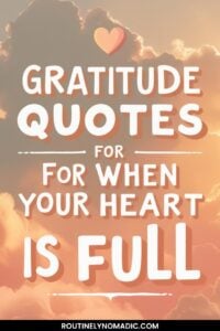 Gratitude quotes