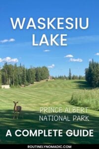 Waskesiu Lake - photo of a golf course and a deer