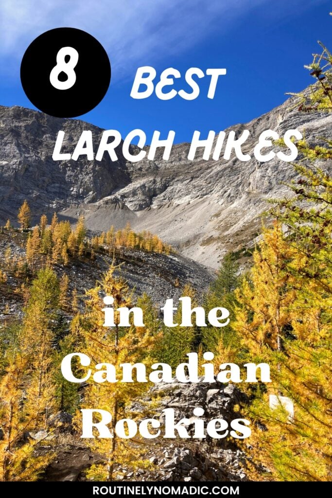 Yellow trees in the mountains