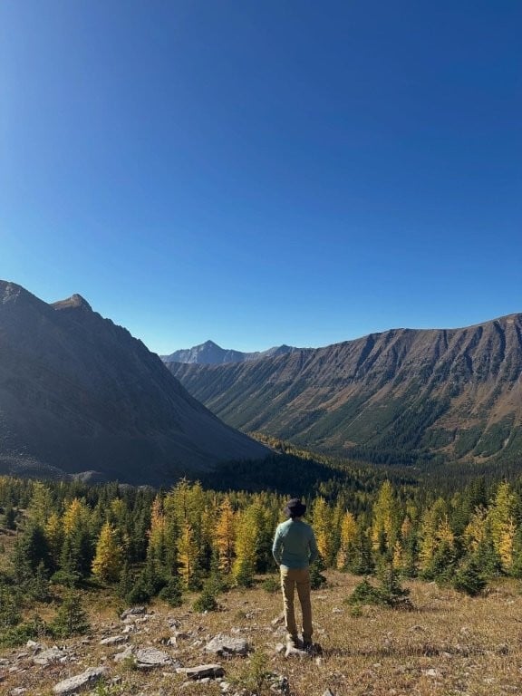 Hiker looking out over a mountain valley full of green and yellow trees