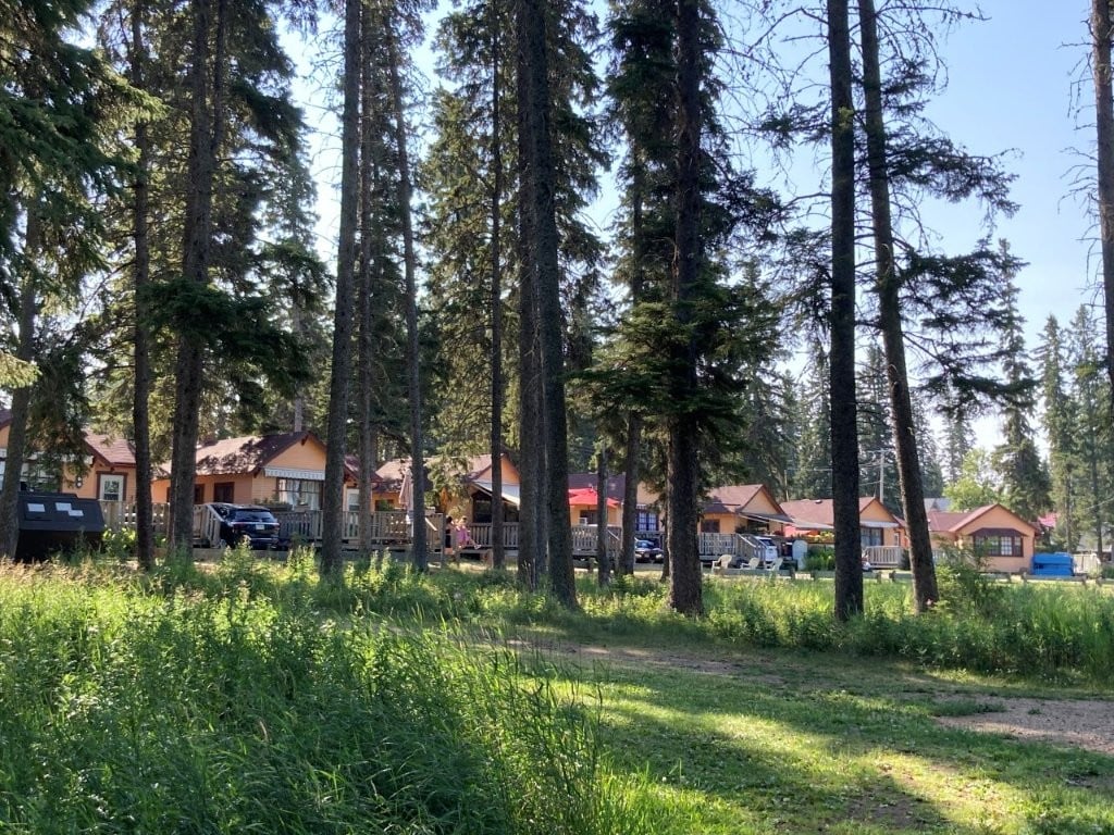 Line of cabins behind trees